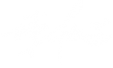 前董事長簽名